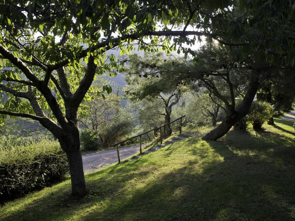 Отель Le Silve Di Armenzano Ассизи Экстерьер фото